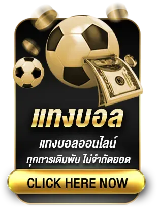 youwantbet แทงบอล